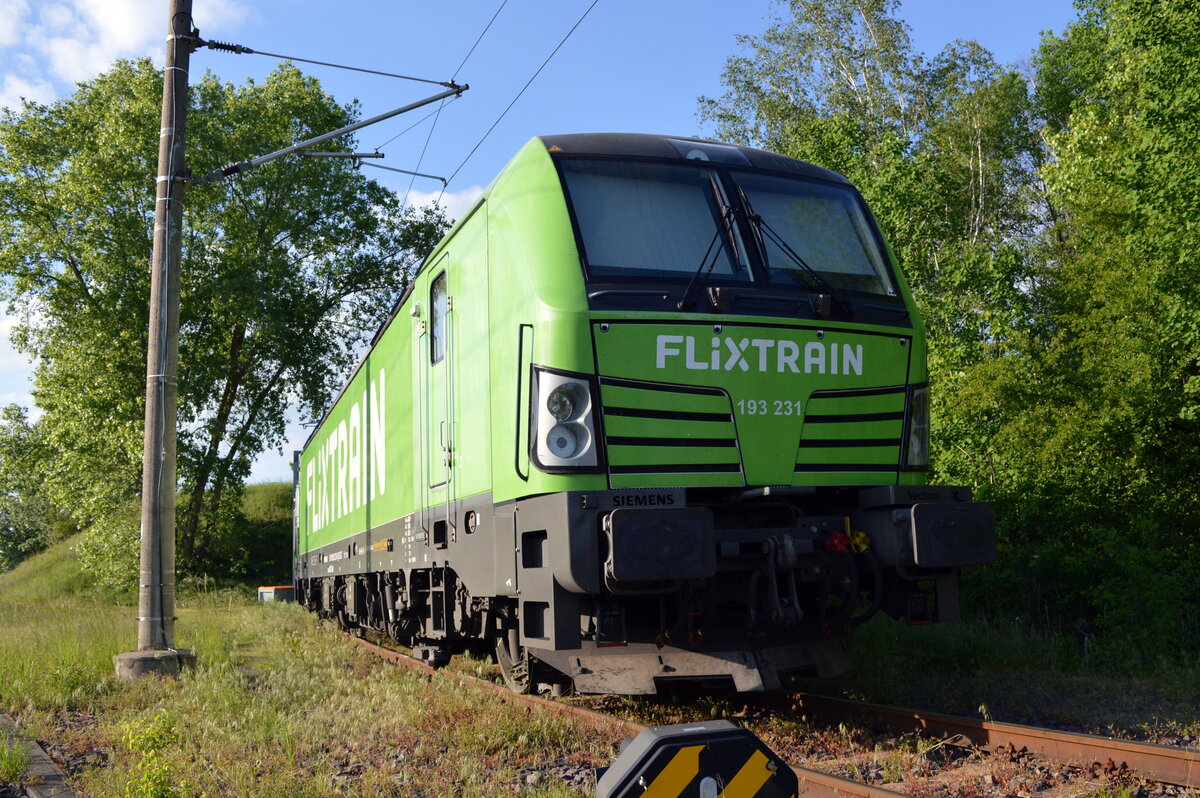Am 30.05.2021 war die 193 231-8 von der SETG  (Flixtrain ) (ELL) in Borstel abgestellt .