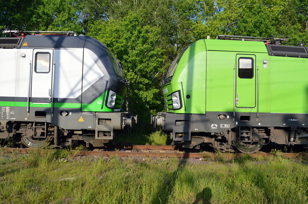 Am 30.05.2021 waren die 193 231-8  und die  193 832-3 von der SETG   (ELL) in Borstel abgestellt .