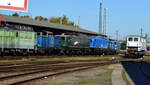 Am 09.10.2021 standen die 142 128-8 und die V 60.02 und die 142 118-9 und die 140 824-4 und die 212  und die 193 838-0  von der EGP in Wittenberge .