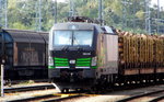 Am 27 .08.2016 kam die 193 219-3 von der SETG (ELL) aus Richtung Hannover nach Stendal .