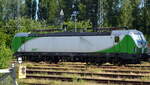 Am 09.06.2021 war die 193 821-6 von der SETG (ELL) in Gbf Stendal abgestellt .